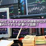 bitcastle(ビットキャッスル)の評判や口コミ上々！世界最速のバイナリーが凄いと話題！の画像